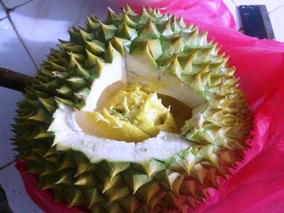 Những pha bổ hoa quả của các nàng dâu tương lai khiến mẹ chồng nhìn mà khóc thét-8