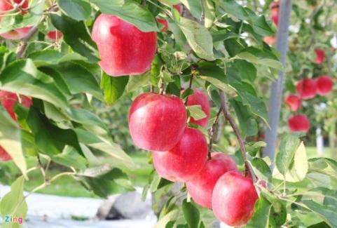 Sinh vào tháng Âm lịch này, có mệnh phú quý, nghèo chỉ là tạm thời-3