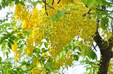 Sinh vào tháng Âm lịch này, có mệnh phú quý, nghèo chỉ là tạm thời-4