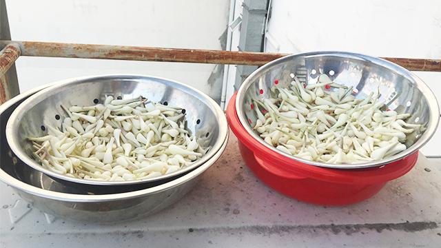 Học ngay cách làm 2 món muối chua ngon tuyệt không thể thiếu trong ngày Tết-4