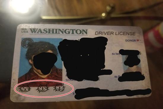 Thanh niên lầy lội vẽ 3 mặt mèo làm chữ ký, 5 năm sau ăn quả đắng