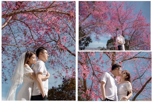 Loạt địa điểm mới ở Đà Lạt rất hút du khách-16