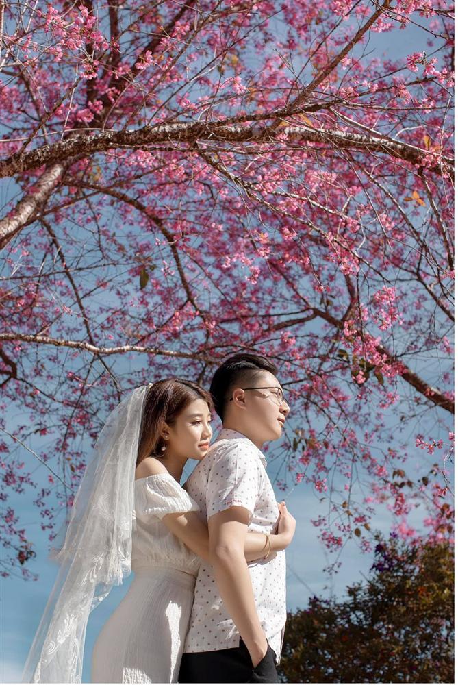 Ngất ngây trước bộ ảnh bên hoa anh đào tại Đà Lạt của cặp đôi 6 năm tình bể bình-2