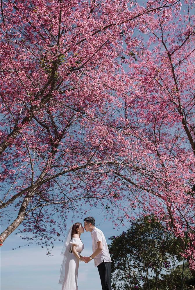 Ngất ngây trước bộ ảnh bên hoa anh đào tại Đà Lạt của cặp đôi 6 năm tình bể bình-7