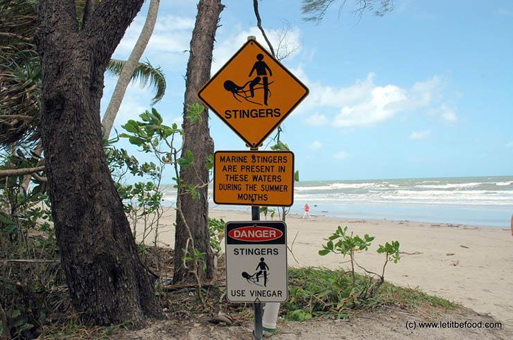 Bãi biển Cape Tribulation, Úc: Tại đây có rất nhiều cá sấu nước mặn và con người là đối tượng chúng nhắm đến. Ngoài ra, một lượng sứa lớn cũng xuất hiện, nếu chạm vào bạn có thể bị ngứa cả người. Trên bãi biển có những con chim thường ẩn nấp dưới cát và có thể tấn công con người bằng bộ móng vuốt khổng lồ của chúng.