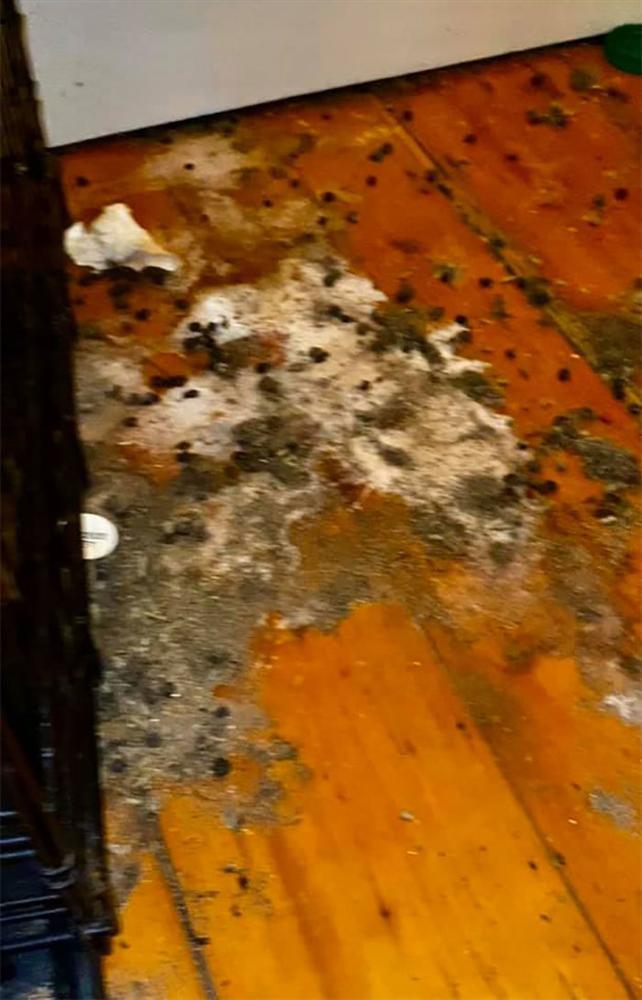 Cô gái đi thuê trọ phát hiện gầm giường toàn chai nhựa: Pha giấu nước tiểu đi vào lòng đất-4