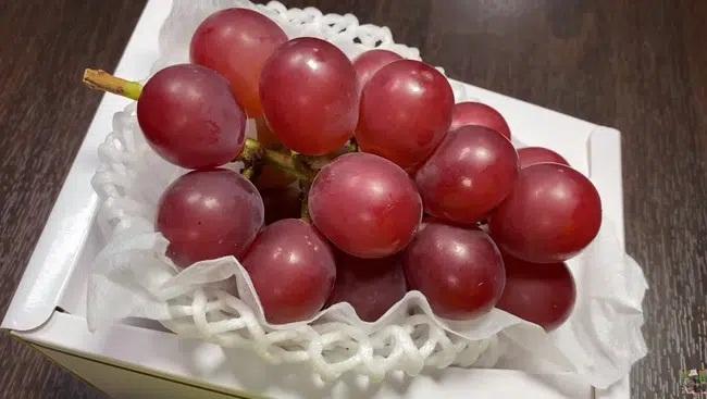 Con rể gắt mẹ vợ chỉ vì chùm nho 1 triệu và câu chuyện khiến dân mạng phẫn nộ-2