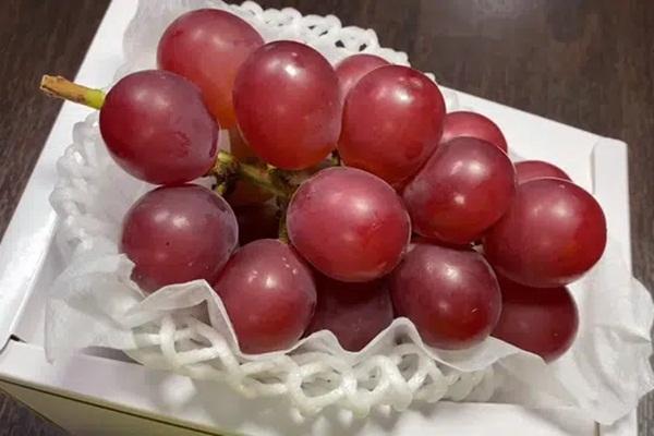 Cãi nhau, chàng trai hành động thiếu kiềm chế khiến dân mạng phẫn nộ-5