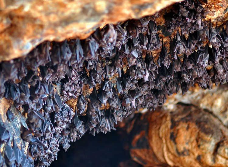 Những ngôi đền lạ trên thế giới-3