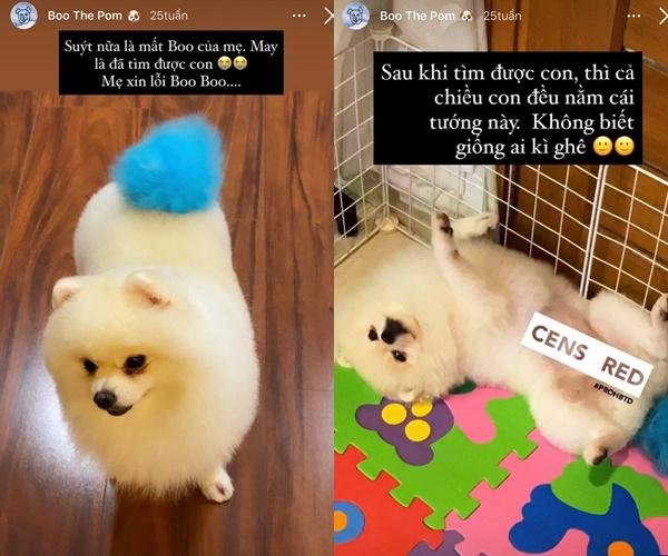 Hé lộ thời gian Phan Thành - Primmy Trương yêu lại từ đầu-3