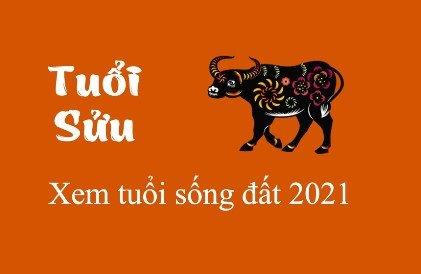 Chọn người xông nhà, xông đất hợp mệnh cho người tuổi Sửu trong năm 2021-1