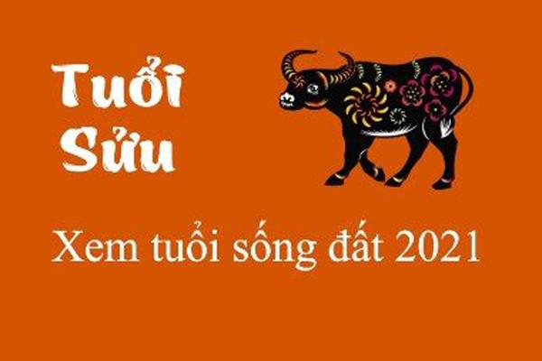 Đàn ông tuổi Sửu - vàng mười trong tay, phải giữ ngay!-4