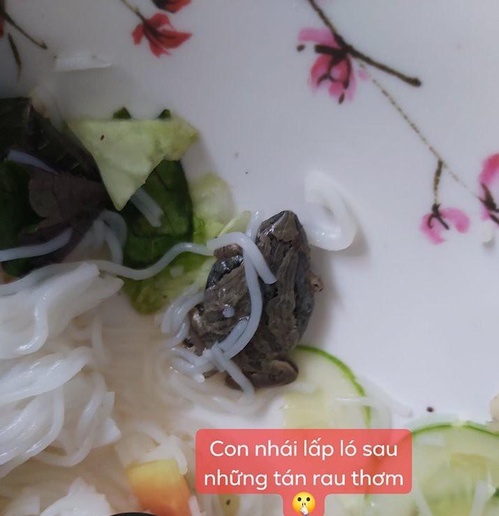 Chưa kịp cho lên miệng thì phát hiện sinh vật lạ bám trên ốc, thanh niên rùng mình khiếp hãi-5