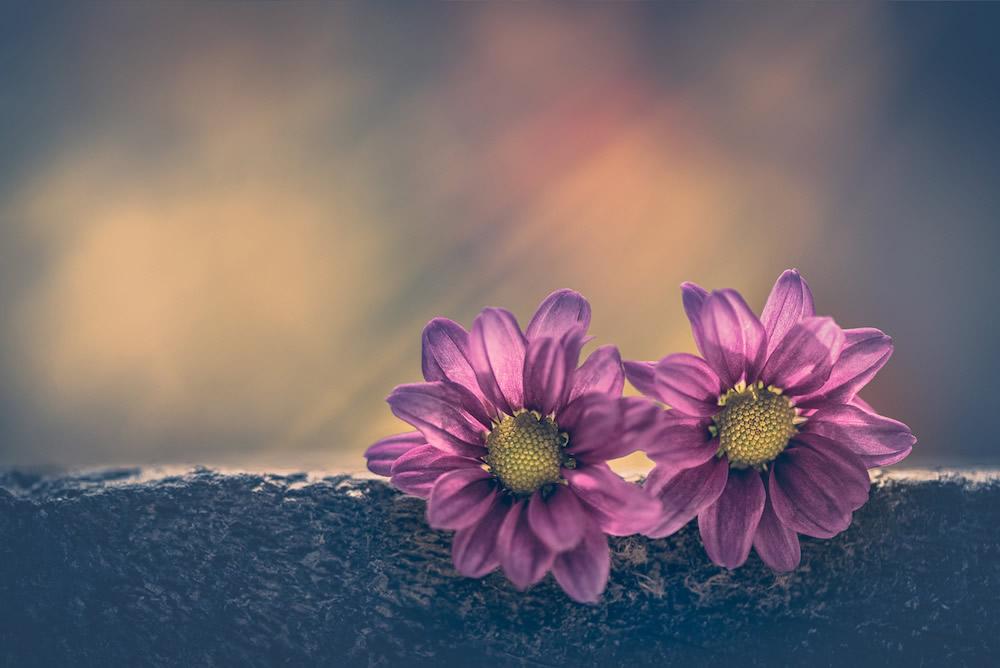 Tử vi 12 cung hoàng đạo thứ Tư ngày 3/2/2021: Bạch Dương táo bạo, Song Ngư thấu hiểu-1