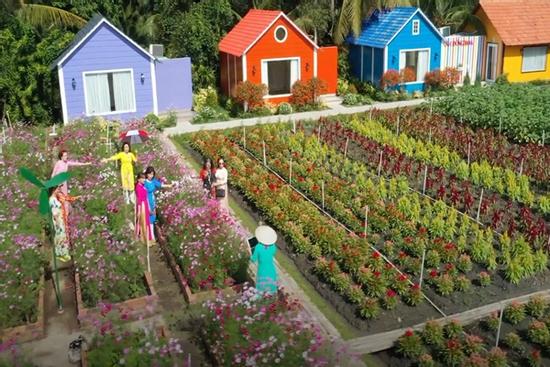 Giới trẻ check-in cánh đồng hoa 14.000 m2 ở TP.HCM