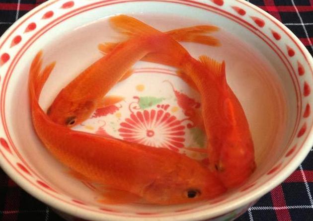 Lễ vật cúng ông Táo gồm những gì, cúng vào thời gian nào?-2