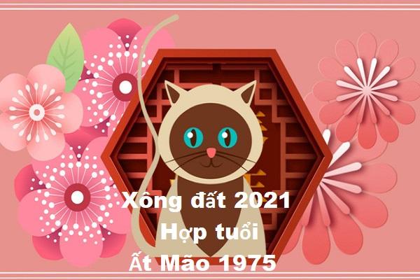 Tuổi xông đất, xông nhà phù hợp cho người tuổi Mão năm Tân Sửu 2021-4