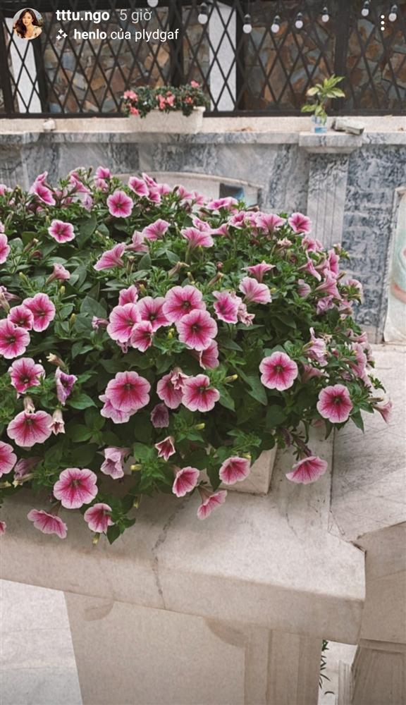 Đã mắt với biệt thự đón Tết của Á hậu Thanh Tú và chồng đại gia-4