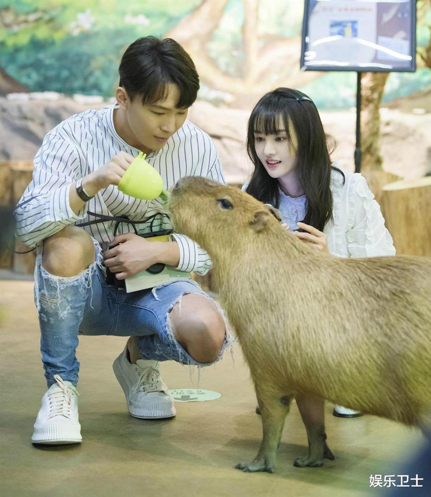 Đòn đau từ tình cũ và 18 ngày sụp đổ của Trịnh Sảng-2