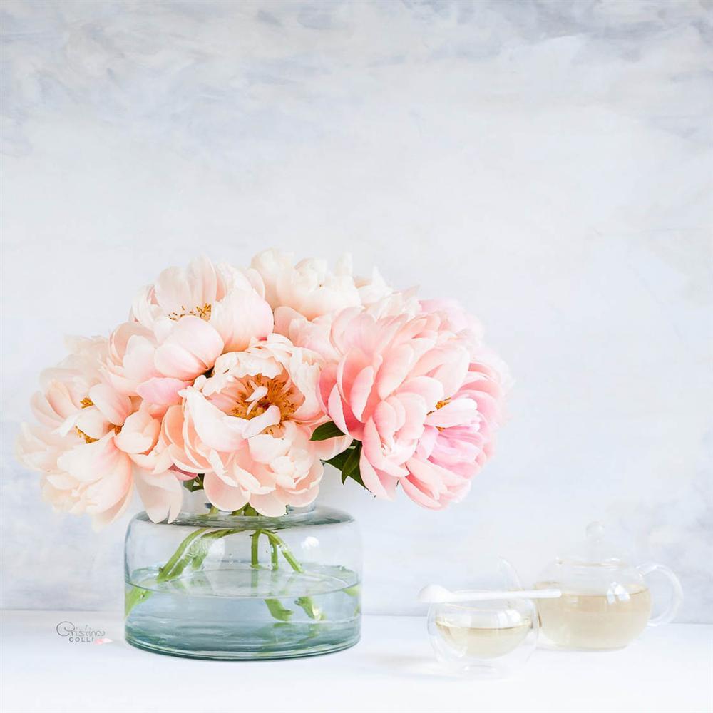 Tử vi 12 cung hoàng đạo thứ Bảy ngày 6/2/2021: Cự Giải vạ miệng, Nhân Mã buồn phiền-1