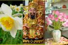 Ngày Tết: 5 loại hoa 'Thần Tài' nên đặt trên bàn thờ để năm mới tài lộc đổ về như vũ bão
