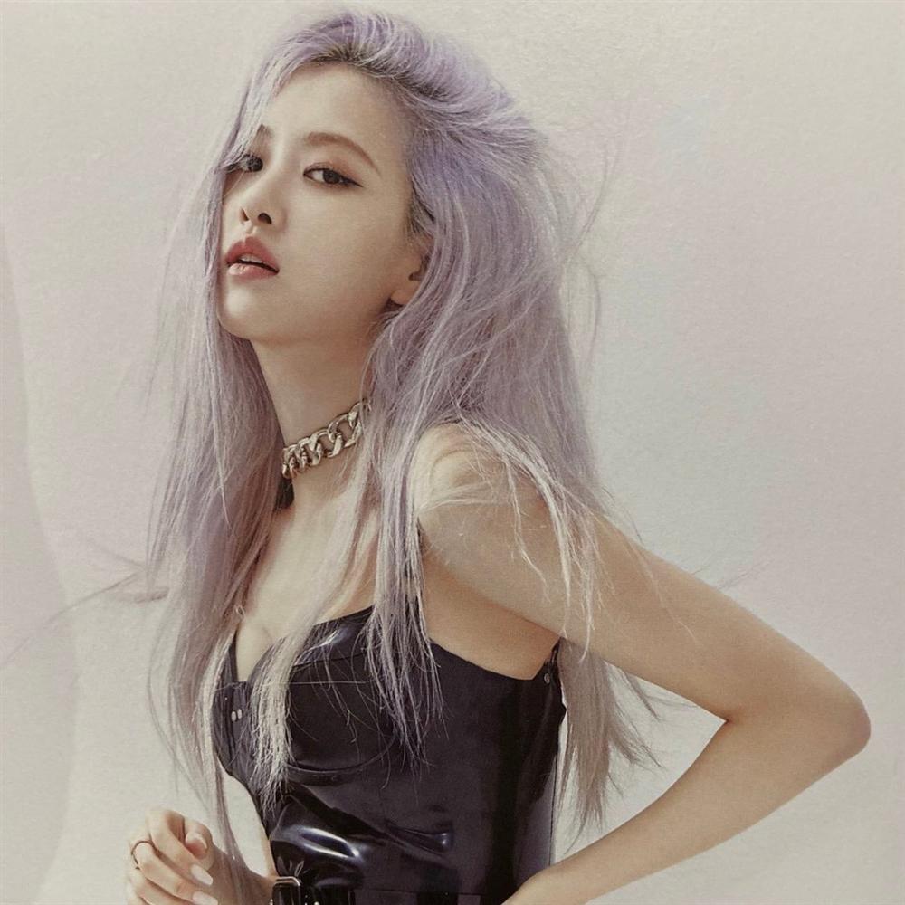 Học ngay cách fan Rosé BLACKPINK phản pháo antifan vừa sâu cay mà vẫn sang chảnh-2