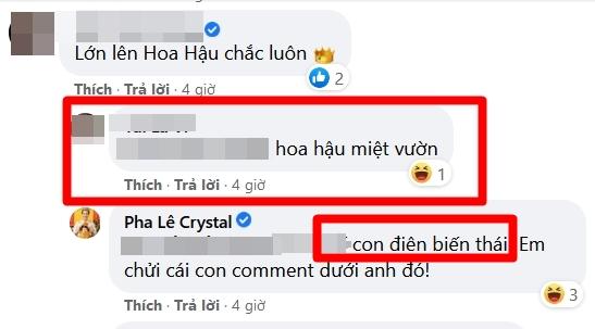 Pha Lê nổi đóa khi con gái bị mỉa mai hoa hậu miệt vườn-4