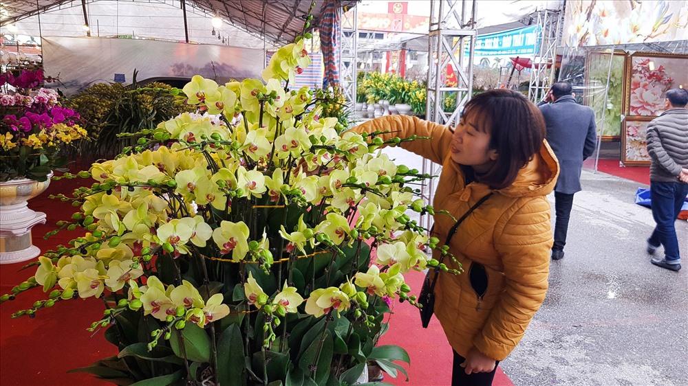 Ngoài hoa mai, hoa đào thì đây chính là 3 loại hoa được săn đón nhiều nhất vào mỗi dịp Tết-1