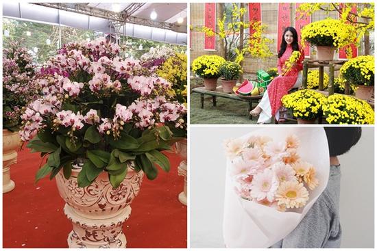 Ngoài hoa mai, hoa đào thì đây chính là 3 loại hoa được 'săn đón' nhiều nhất vào mỗi dịp Tết