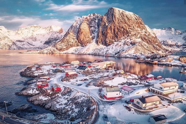 Đào, quất giảm nửa giá vẫn ế khách-1