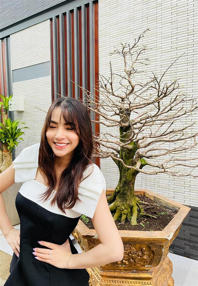 Hải Băng công khai hình ảnh trộm cuỗm mất cây mai gần 100 triệu-1