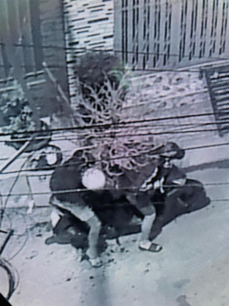 Hải Băng công khai hình ảnh trộm cuỗm mất cây mai gần 100 triệu-4