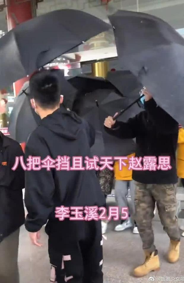 Triệu Lộ Tư và các mỹ nhân Hoa ngữ bị chê làm lố khi mang theo cả dàn vệ sĩ đến phim trường-1
