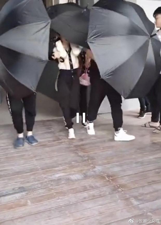 Triệu Lộ Tư và các mỹ nhân Hoa ngữ bị chê làm lố khi mang theo cả dàn vệ sĩ đến phim trường-2