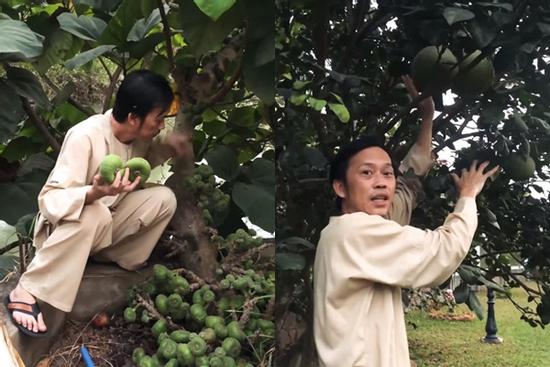 Hoài Linh giới thiệu vườn cây bạc tỷ trong nhà thờ Tổ