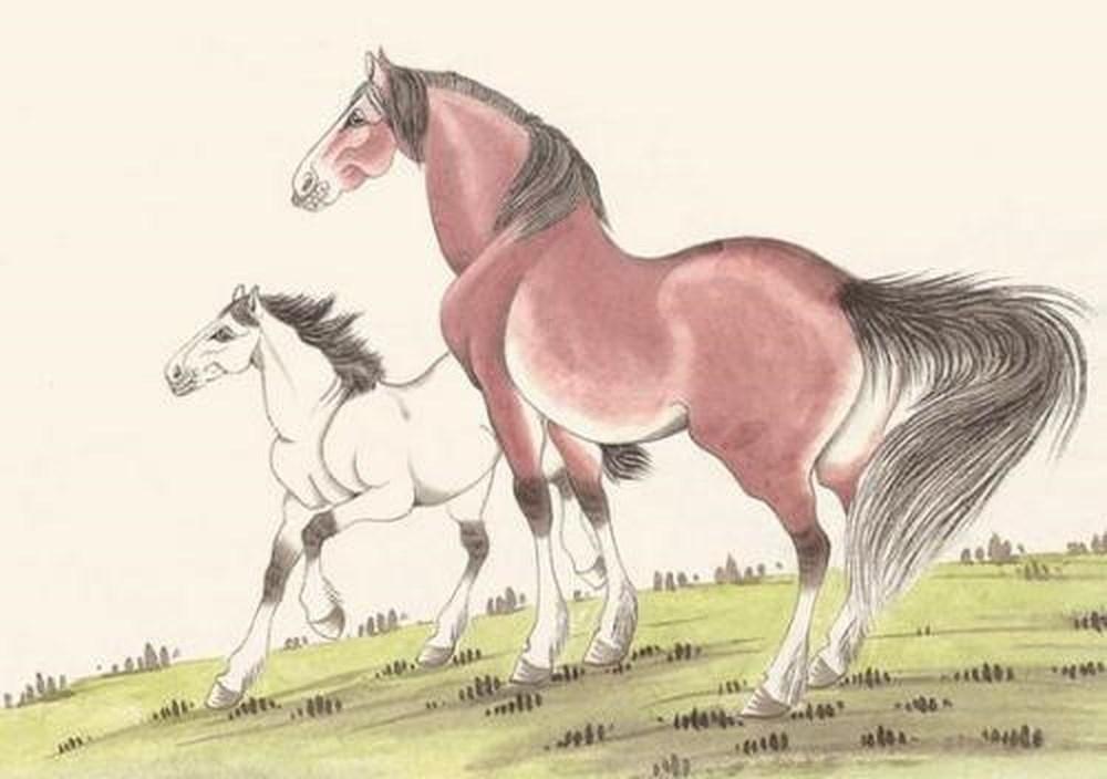 Tuổi xông đất, xông nhà phù hợp cho người tuổi Ngọ năm Tân Sửu 2021-2