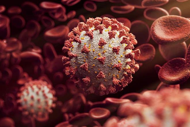 Lật tẩy những lời đồn gian dối tai hại về vắc xin COVID-19 gây bức xúc-2