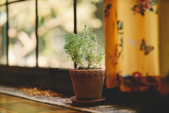 Tử vi 12 cung hoàng đạo thứ Tư ngày 10/2/2021: Kim Ngưu cảm xúc, Bảo Bình lơ là