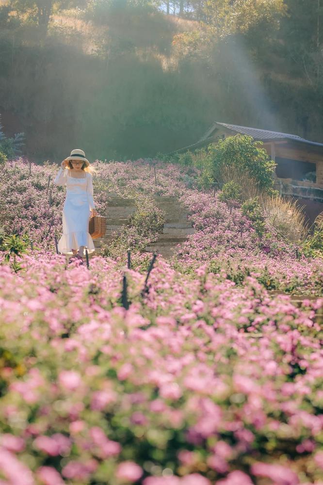 Loạt địa điểm mới ở Đà Lạt rất hút du khách-12