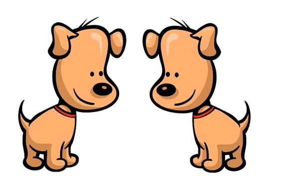 Xông đất, xông nhà đầu năm 2021 chủ nhà tuổi Tuất nên chọn tuổi nào cho hợp?-2