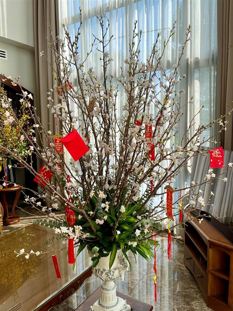 Bóc giá hoa chơi Tết trong biệt thự của vợ chồng Bảo Thy-6