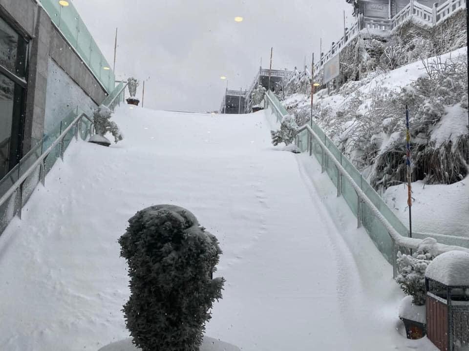 Tuyết phủ trắng xóa đỉnh Fansipan, du khách tưởng lạc vào phim ảnh-2