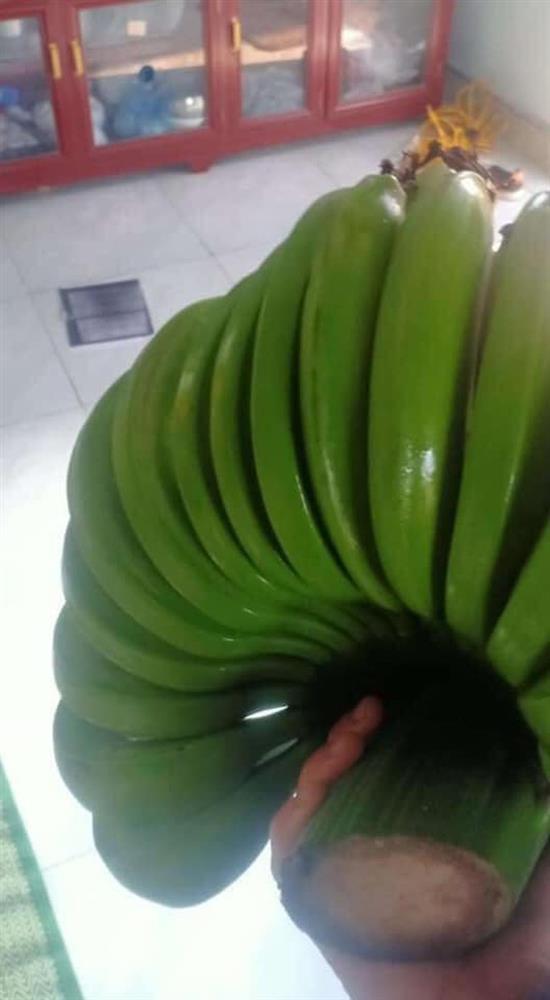 Nhờ chồng mua chuối thắp hương, vợ nhìn nải chuối mang về mà giận tím người-4