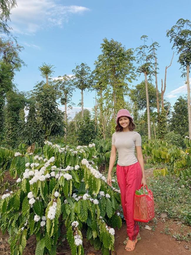 H'Hen Niê mộc mạc, du xuân trên rẫy cà phê.