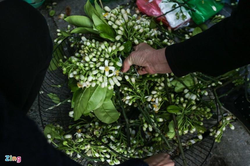 Chen nhau mua gà ngậm hoa hồng cúng giao thừa-12