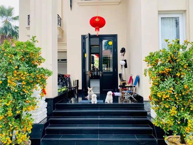 Phillip Nguyễn khoe một góc biệt thự đầy hoa vạn thọ ngày 30 Tết-2