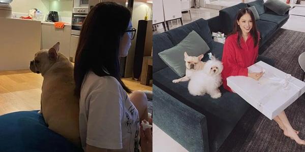 Phillip Nguyễn khoe một góc biệt thự đầy hoa vạn thọ ngày 30 Tết-6