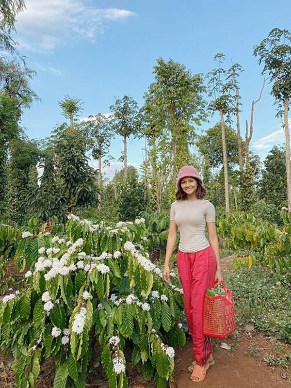 H’Hen Niê chia sẻ: “Du xuân Tân Sửu trên rẫy cà phê mùa hoa nở. Đừng ai quan tâm dép em nhé vì em đi cắt lá chuối nha