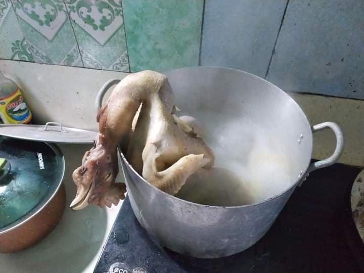 Cười nghiêng ngả với những màn thả dáng gà luộc trong ngày Tết-11