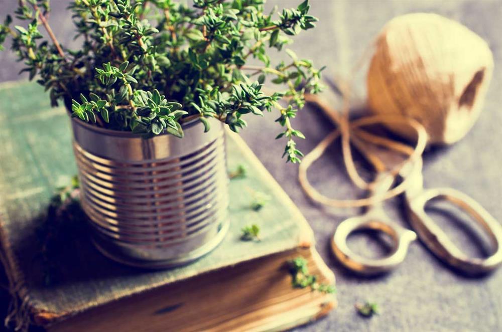 Tử vi 12 cung hoàng đạo thứ Hai ngày 15/2/2021: Cự Giải tham vọng, Nhân Mã bận rộn-1